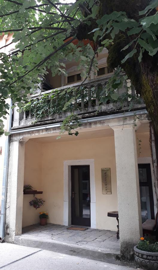 Apartman Centar Cetinje Esterno foto